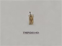 藏品(灰雙線刺蛾)的圖片